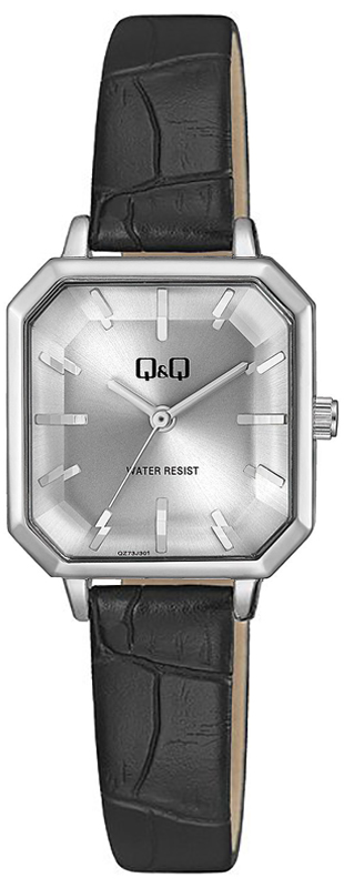 QQ QZ73-301