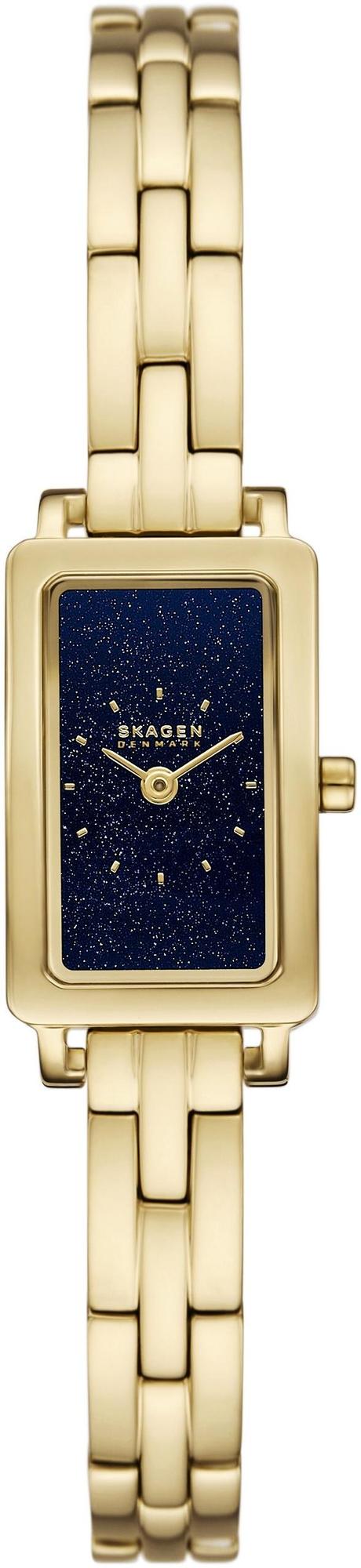 Skagen Micro SKW3170
