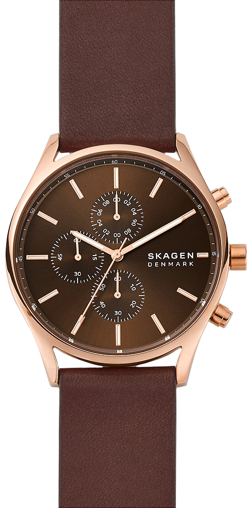 Skagen HOLST SKW6678