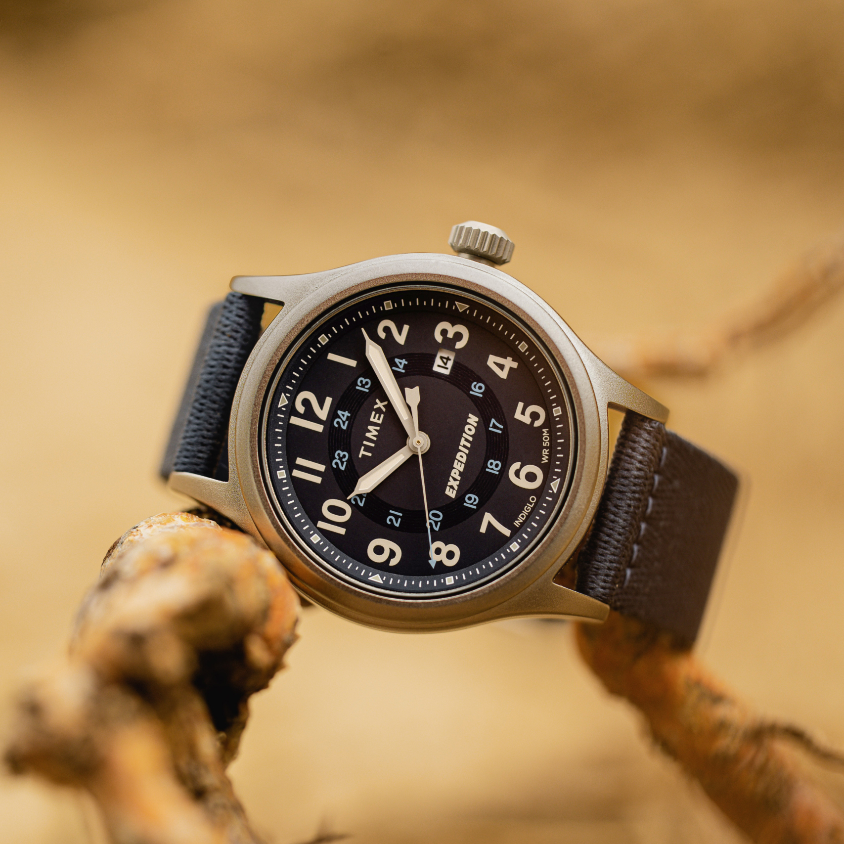 Timex TW2V65600 Expedition Expedition North Sierra zegarek męski klasyczny mineralne