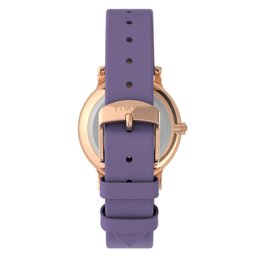 Timex TW2V67100 zegarek