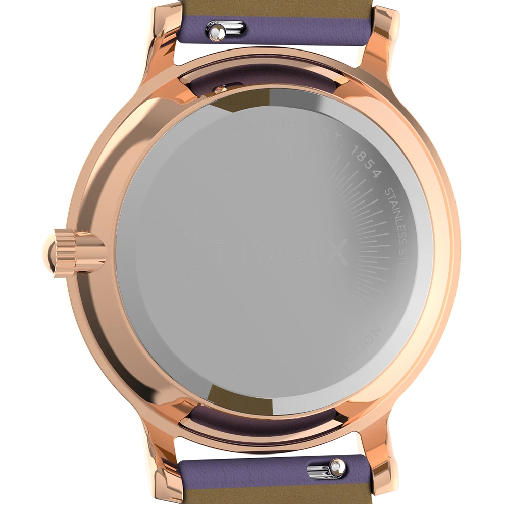 Timex TW2V67100 zegarek