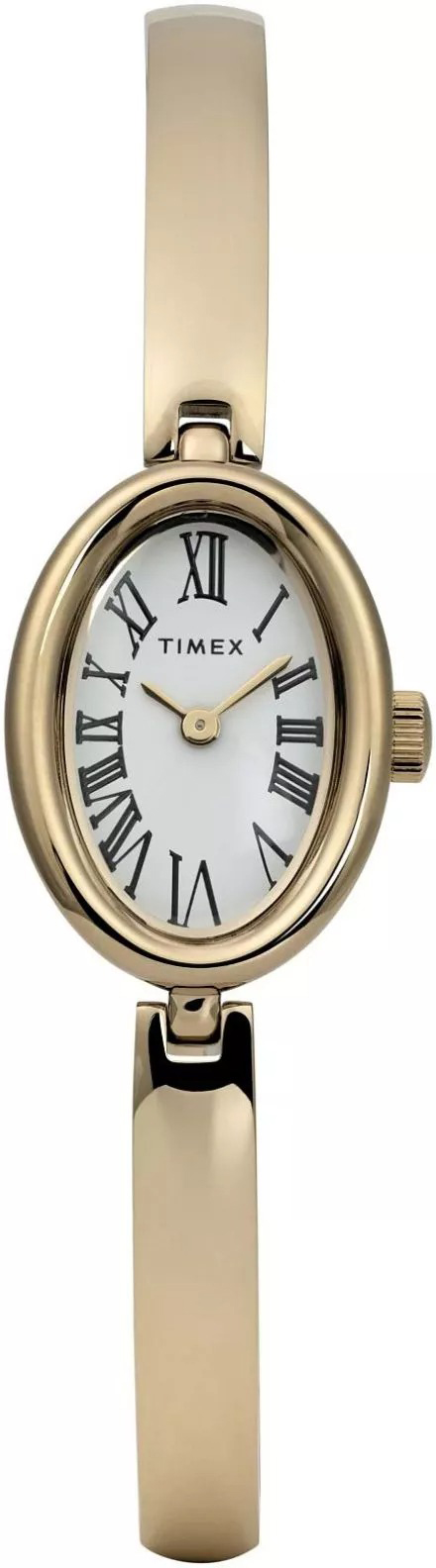 Zegarek Timex TW2Y27200