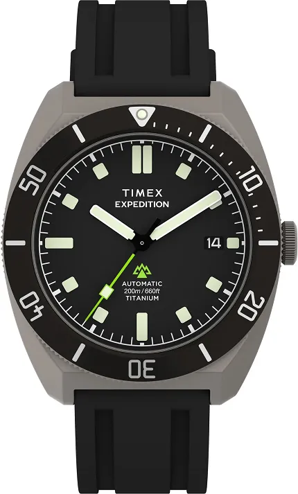 Timex TW2Y63600