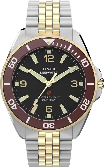 Timex TW2Y64700 - zdjęcie 1