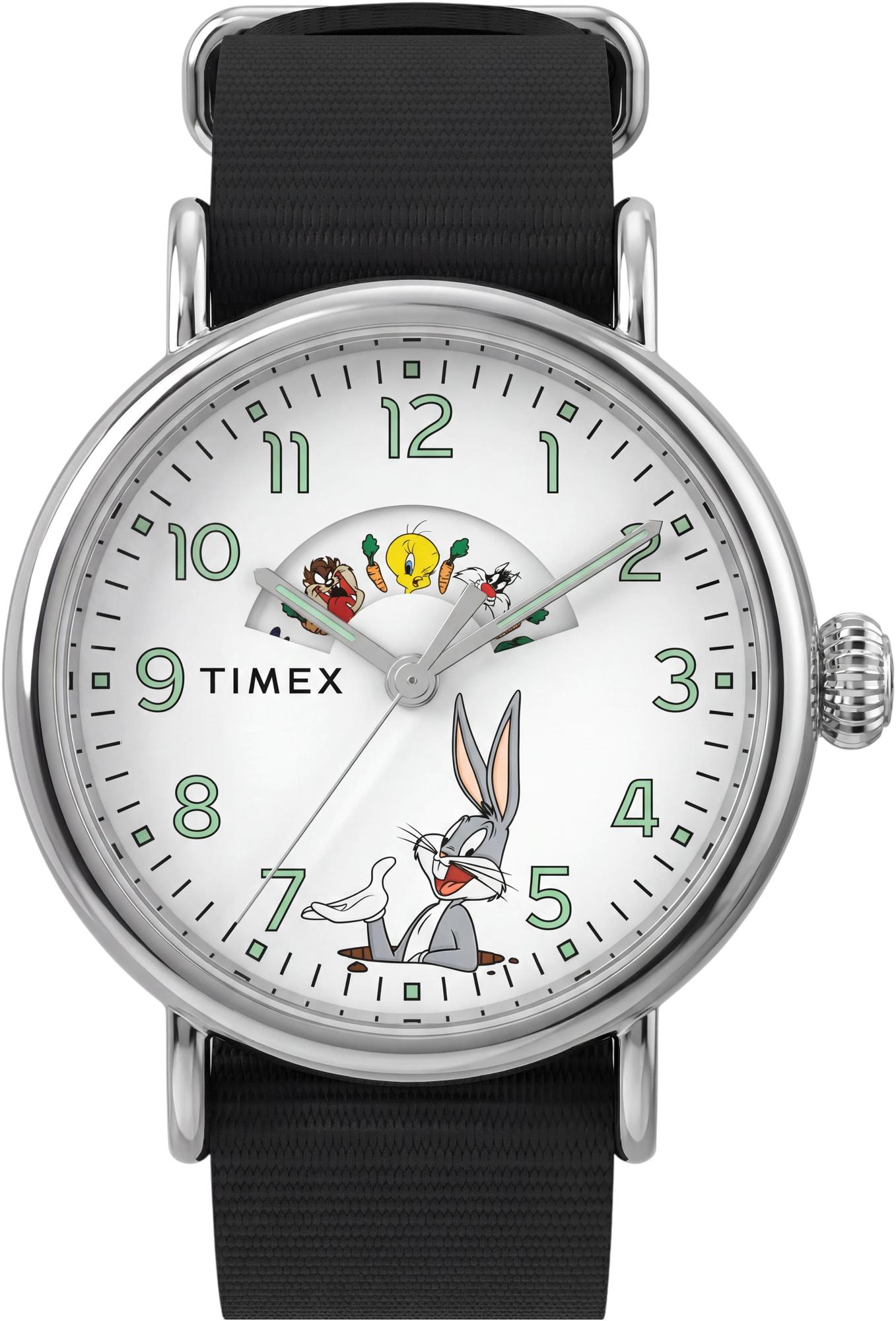 Timex TW2Y99100