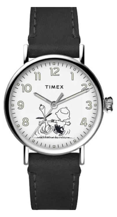 Timex Standard TW2U71100