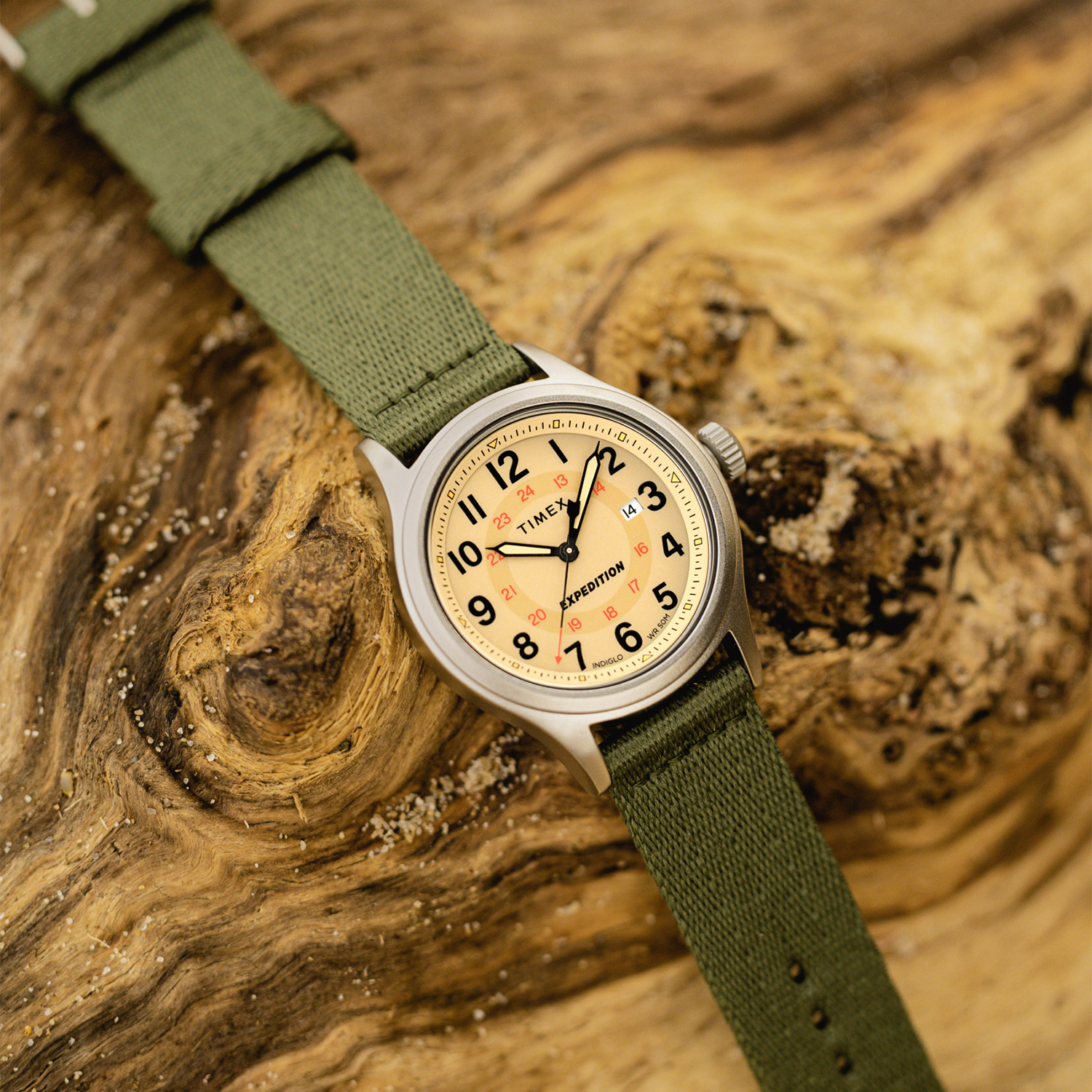 TW2V65800 zegarek męski Expedition