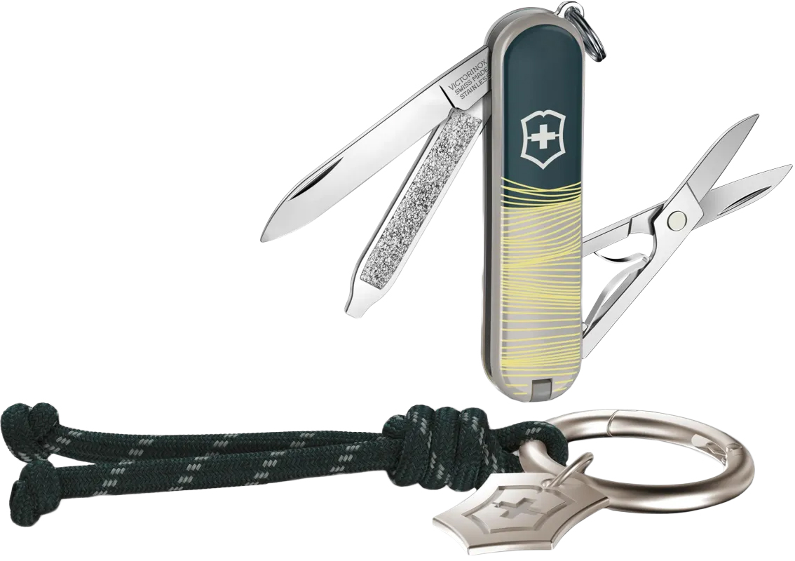 Victorinox 06223E223