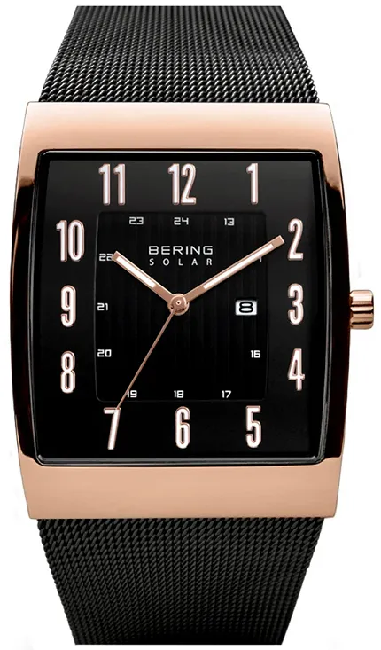 Bering 16433-166 Solar - zdjęcie 1
