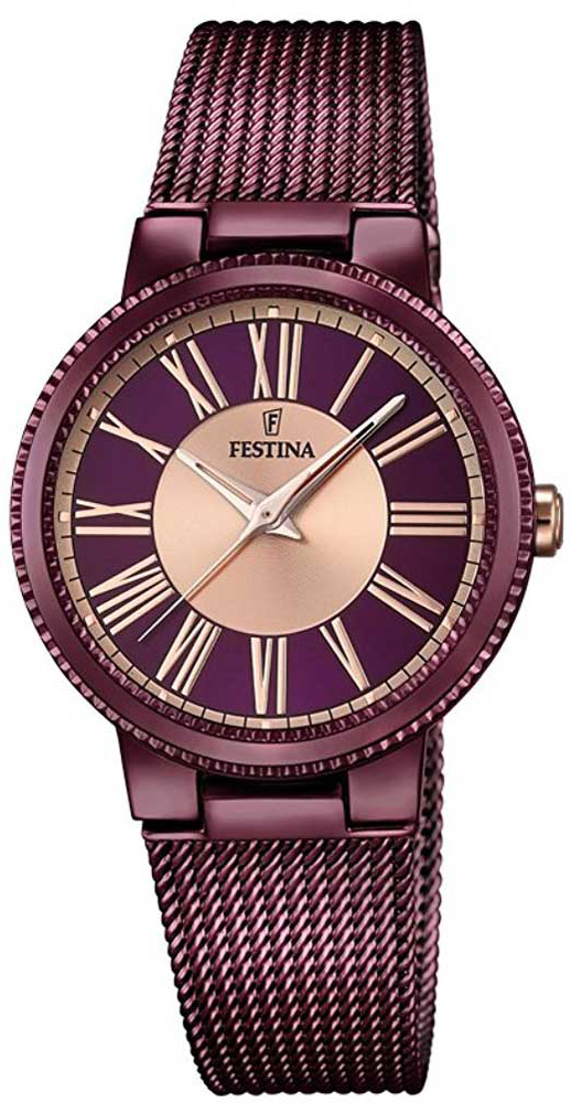 Festina F16966-1