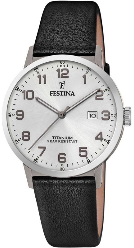 Festina Titanium Date F20471-1