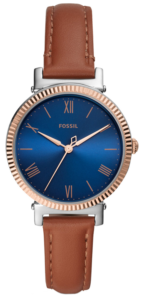 Fossil DAISY ES4795