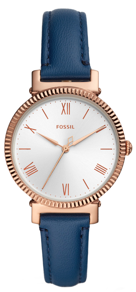 Fossil DAISY ES4862