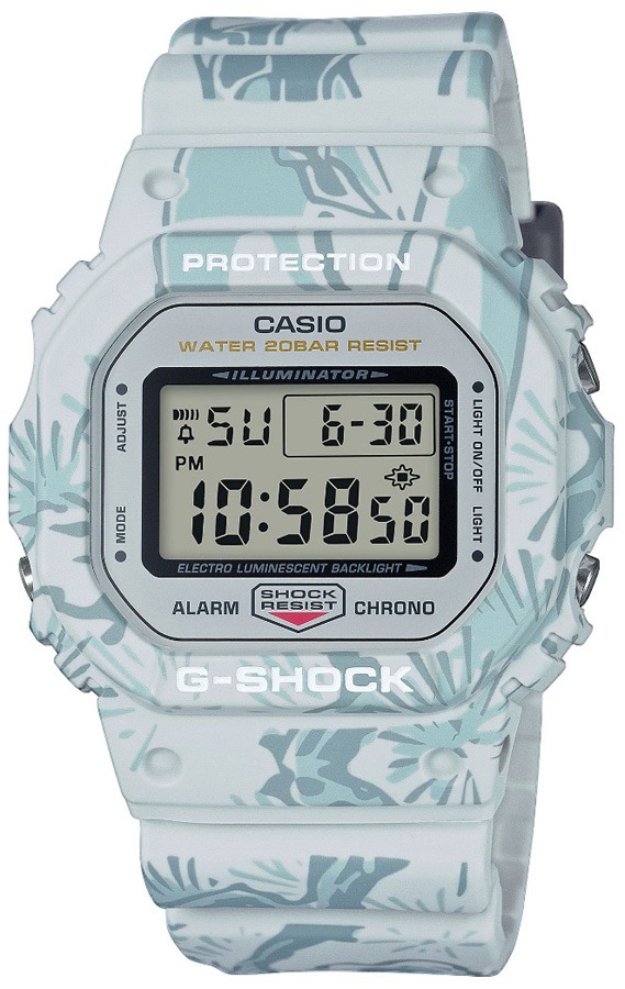 G-SHOCK DW-5600SLG-7DR