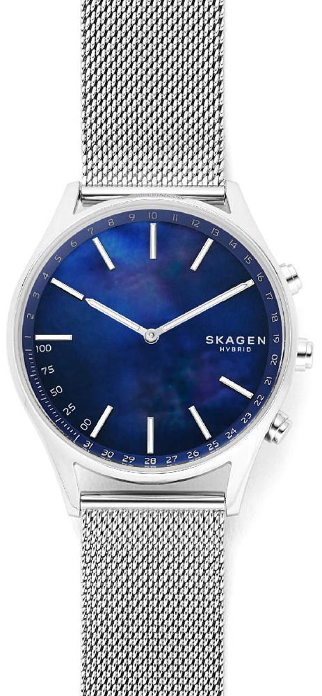 Skagen SKT1313 - zegarek męski