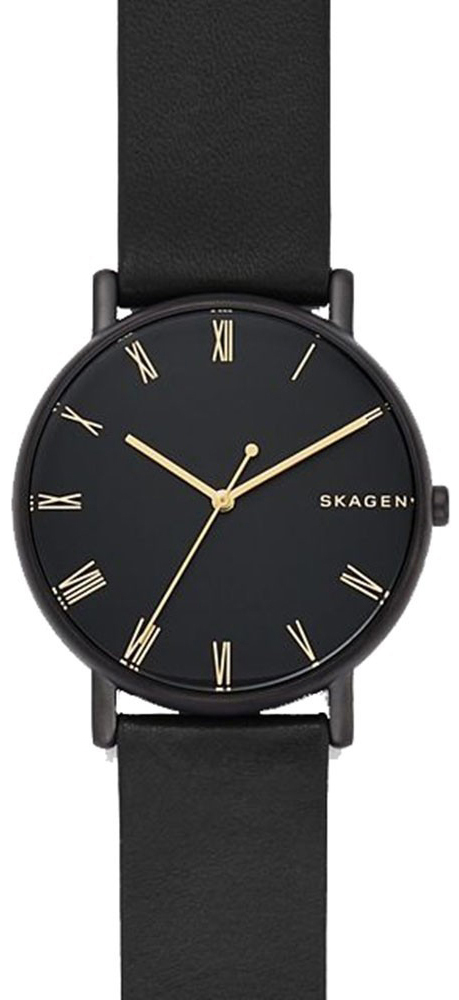 Skagen Signatur SKW6489