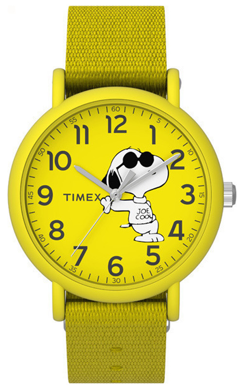 Timex Weekender Seasonal TW2T65900