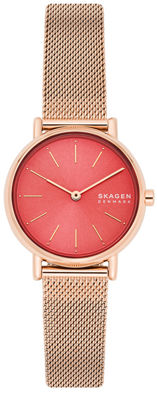 Skagen SIGNATUR SKW2868