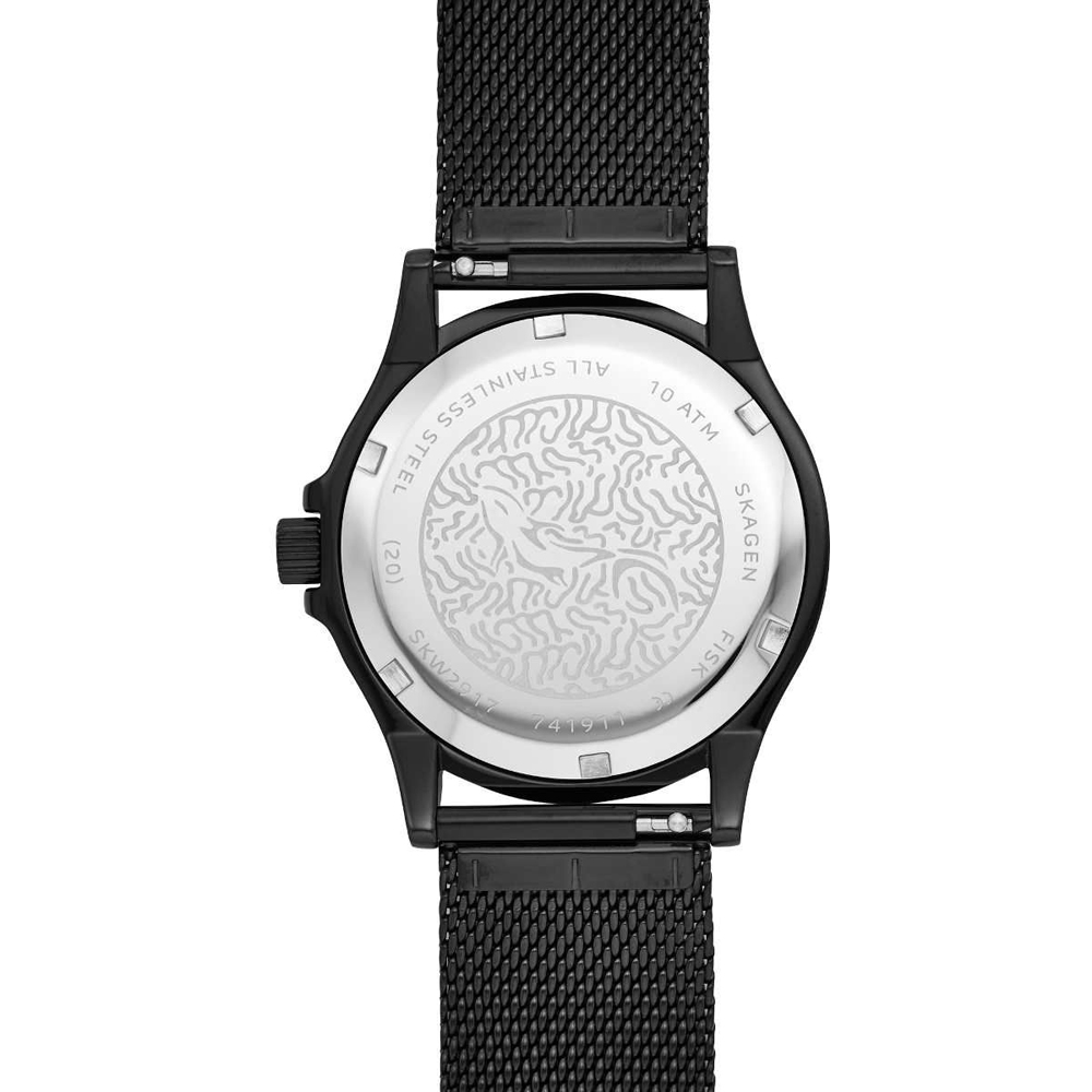 Skagen SKW2917 FISK zegarek klasyczny Fisk
