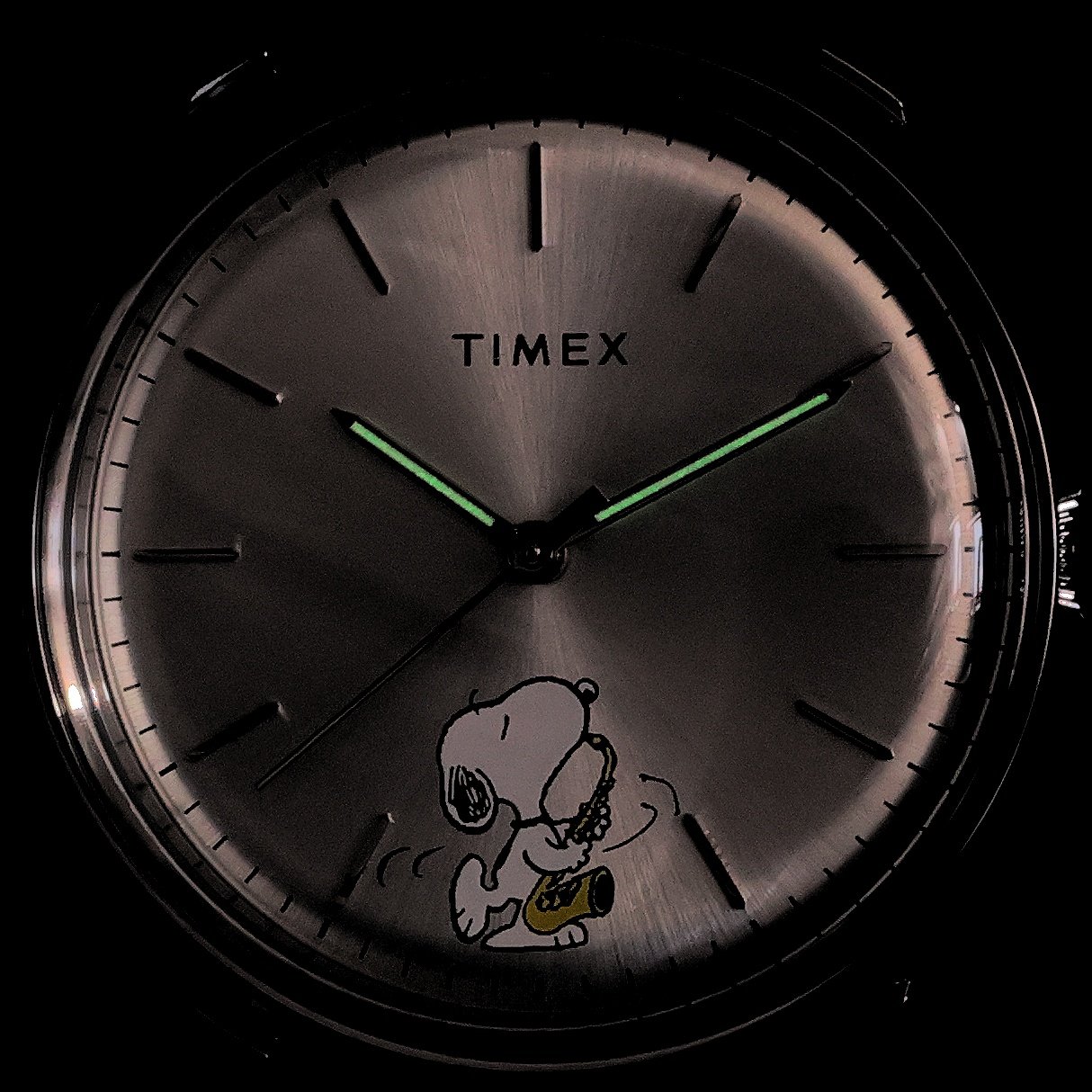 zegarek Timex TW2W68800 Marlin Automatic x Peanuts Saxophonist 40mm Marlin akrylowe