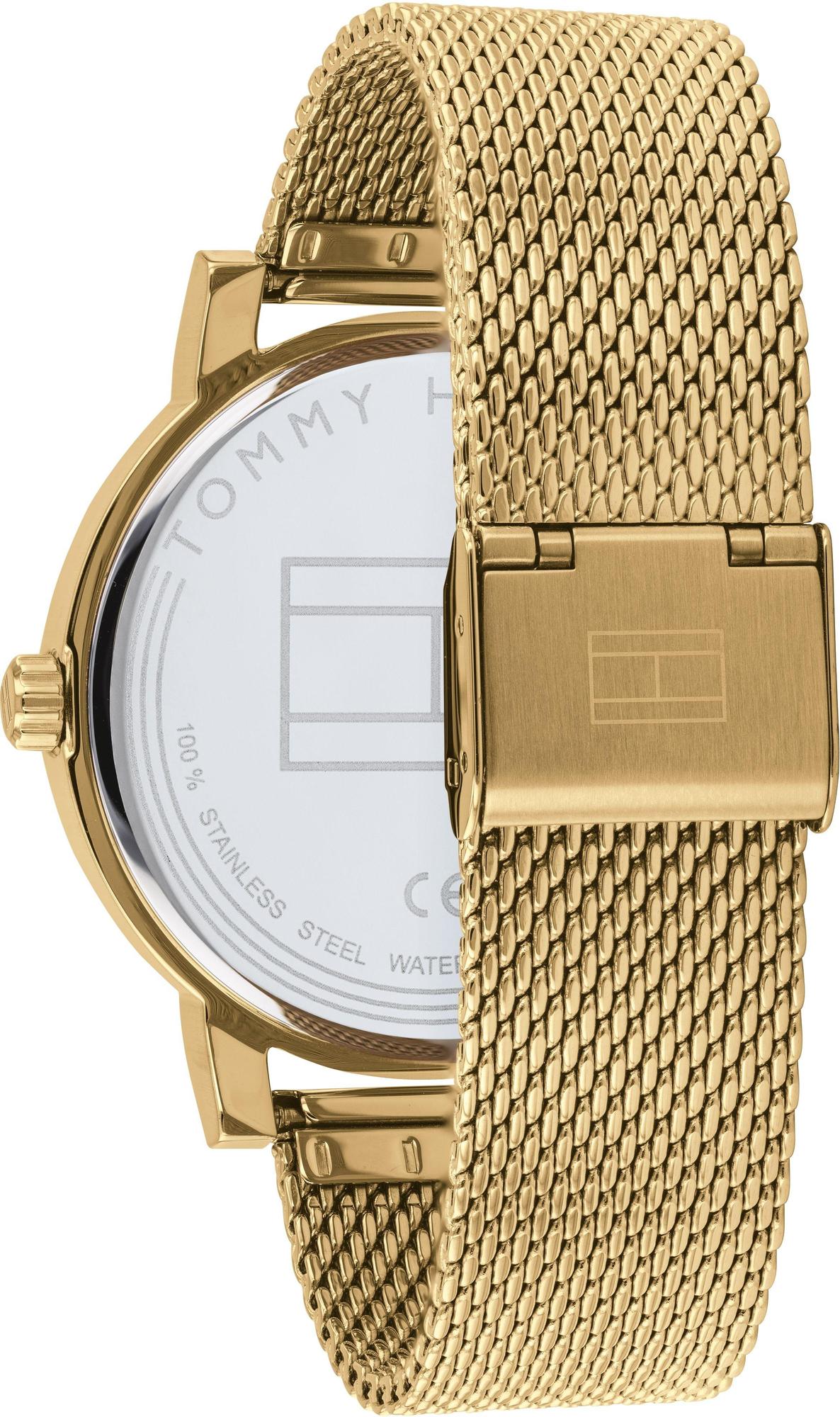 zegarek Tommy Hilfiger 1791733 złoty Męskie - miniatura 6