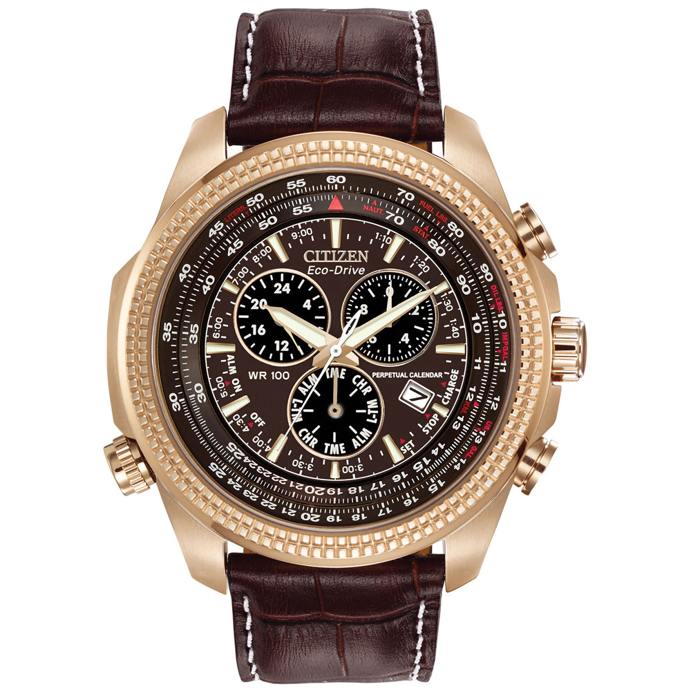Opis zegarka Citizen BL5403-03X Eco-Drive Perpetual Calendar