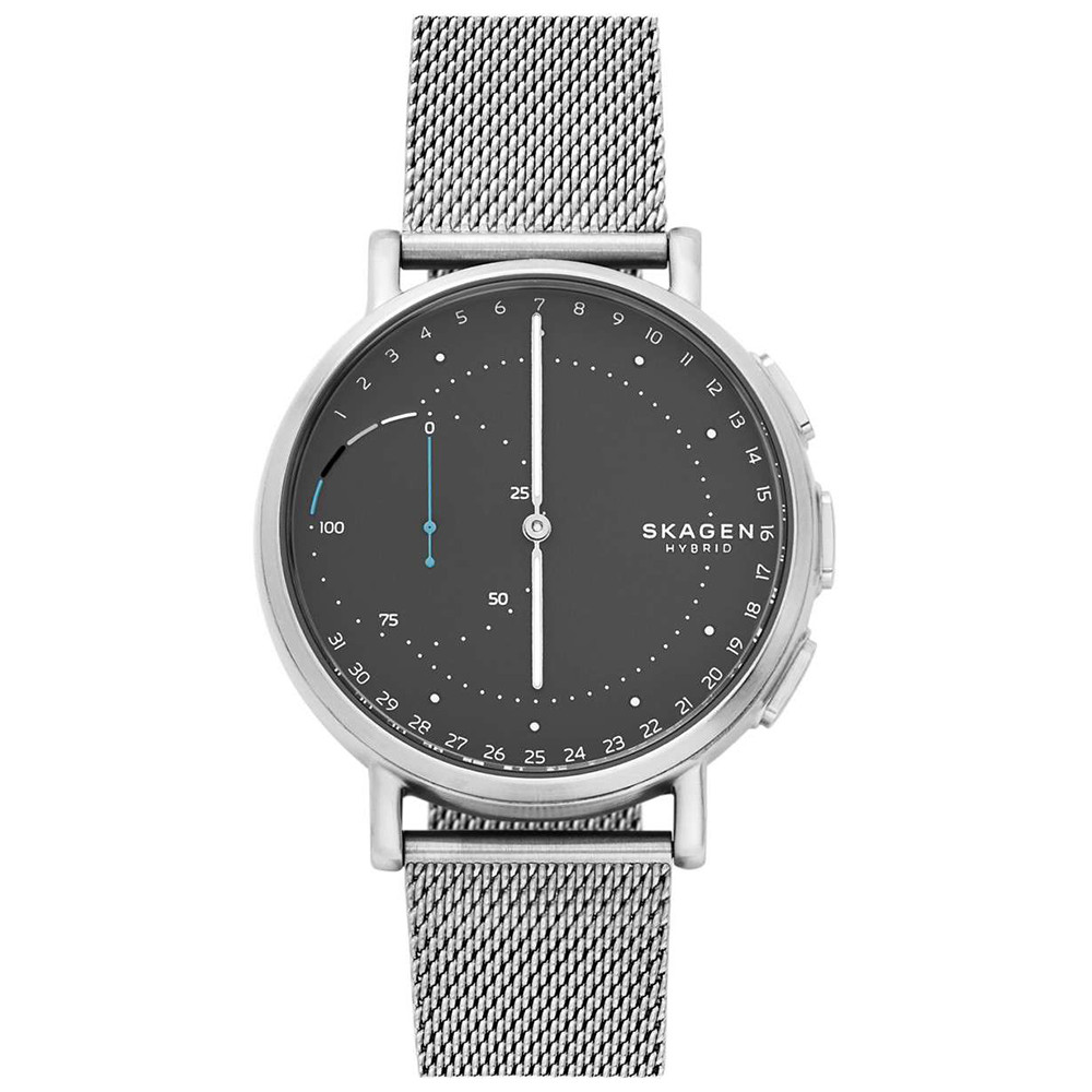 Opis zegarka Skagen SKT1113 Smartwatch Skagen Connected