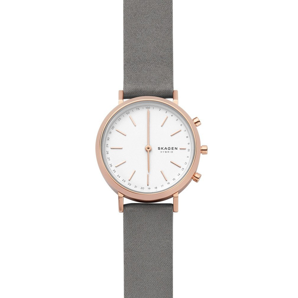 Opis zegarka Skagen SKT1406 Smartwatch Skagen Connected