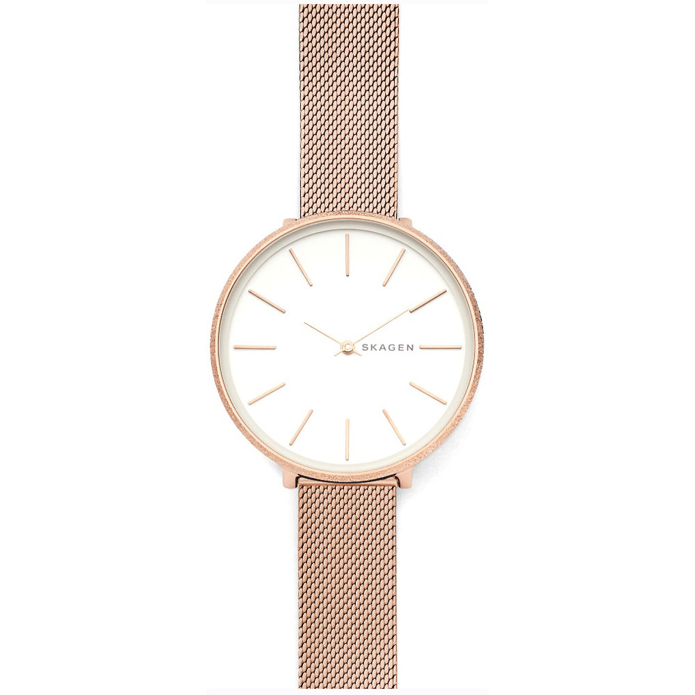 Opis zegarka Skagen SKW2726 KAROLINA