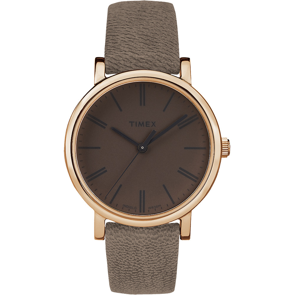 Opis zegarka Timex TW2P96300