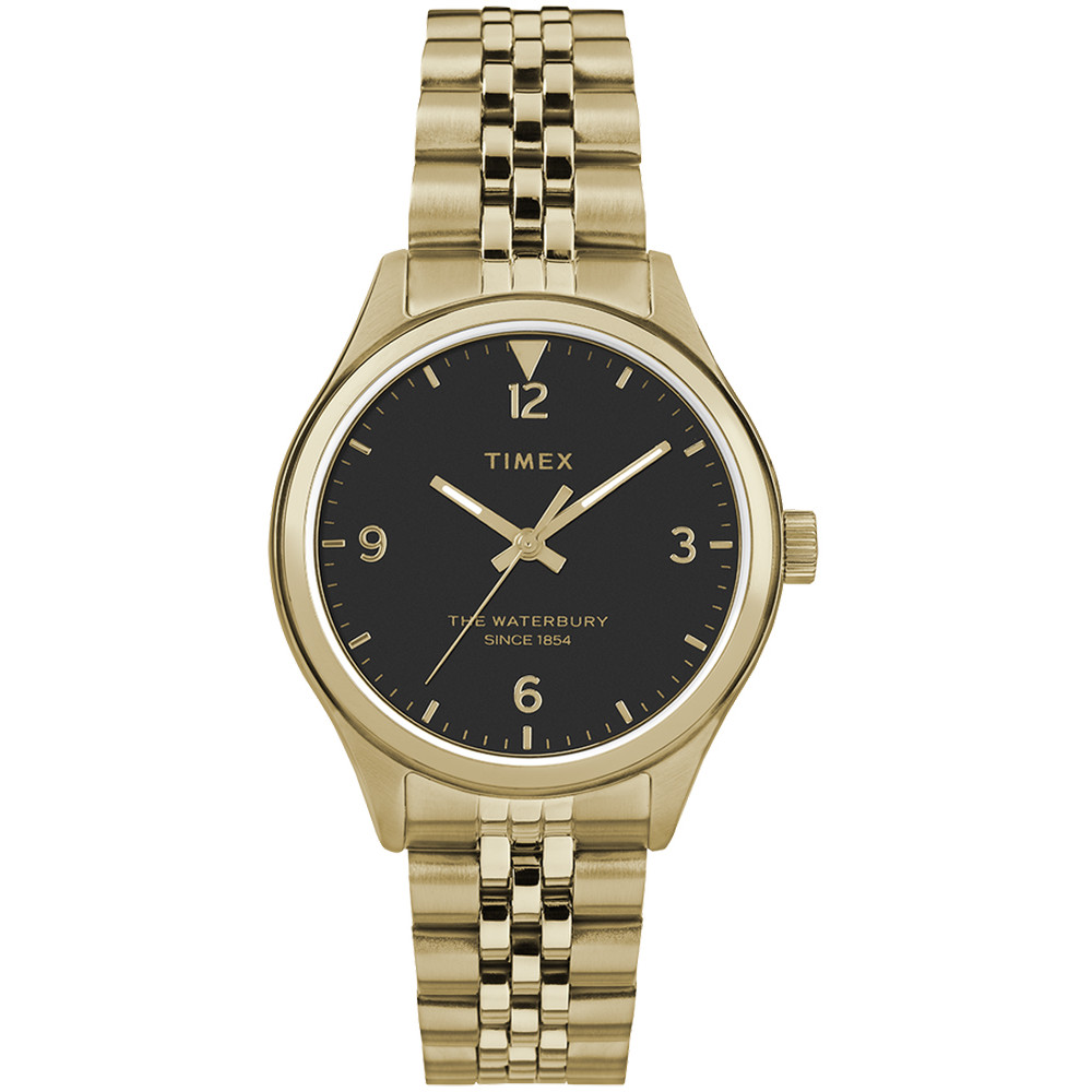 Opis zegarka Timex TW2R69300 The Waterbury