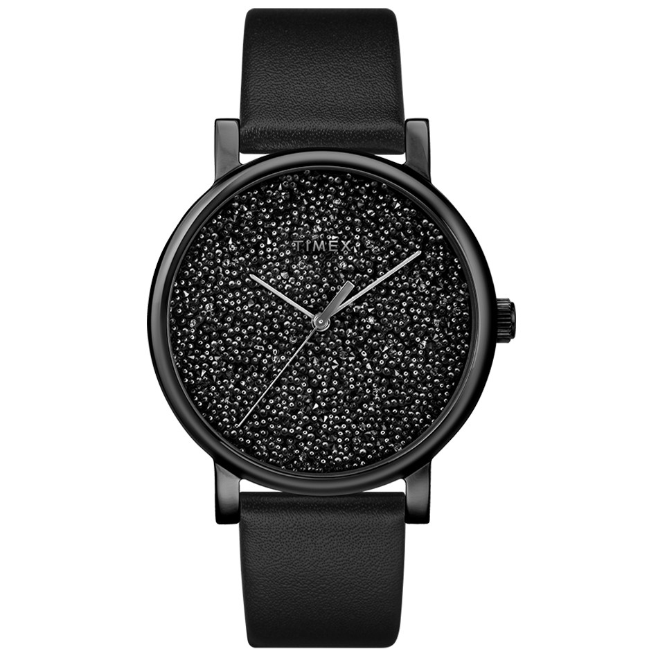 Opis zegarka Timex TW2R95100