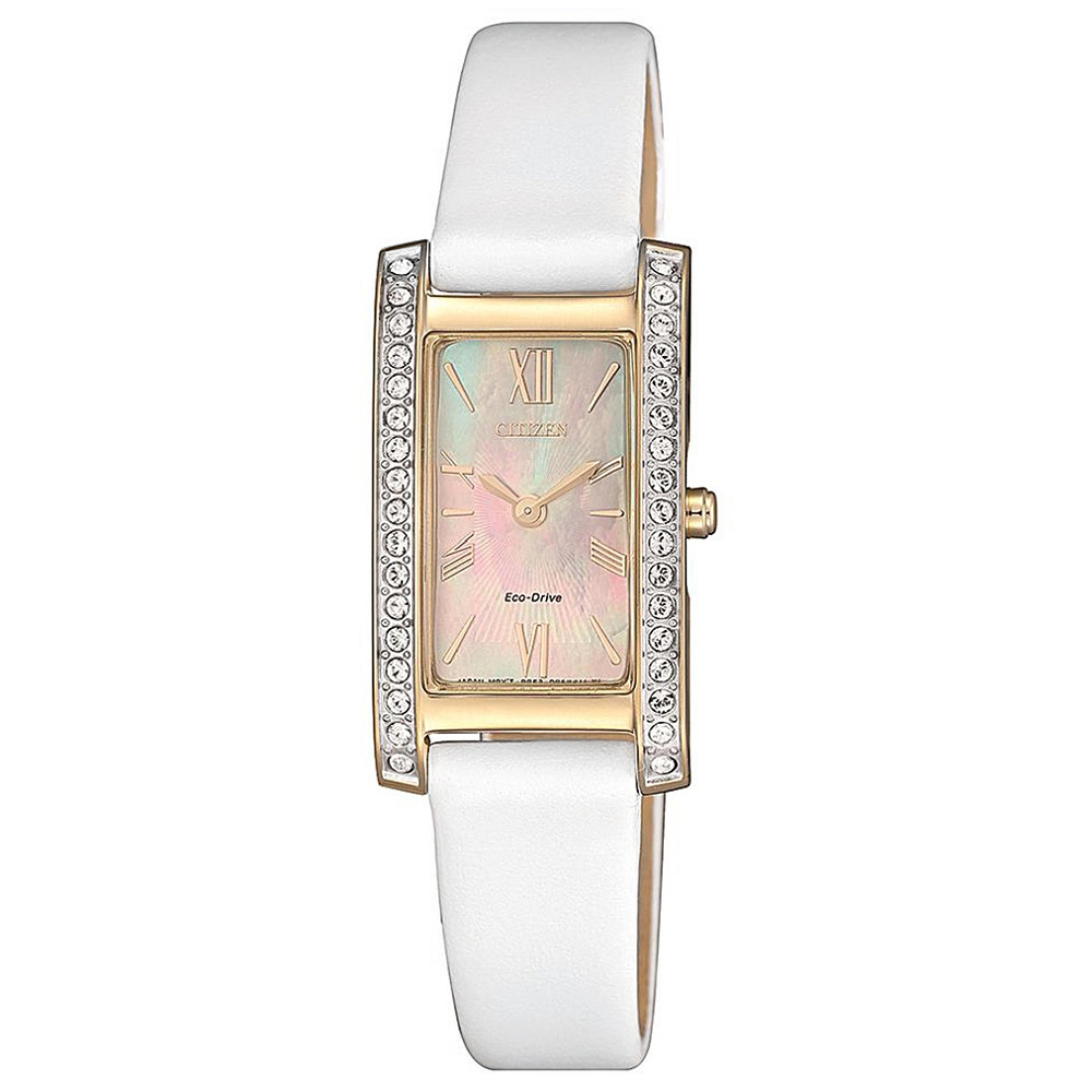 Opis zegarka Citizen EX1478-17D