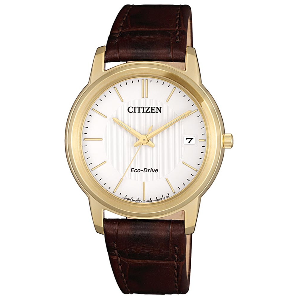 Opis zegarka Citizen FE6012-11A