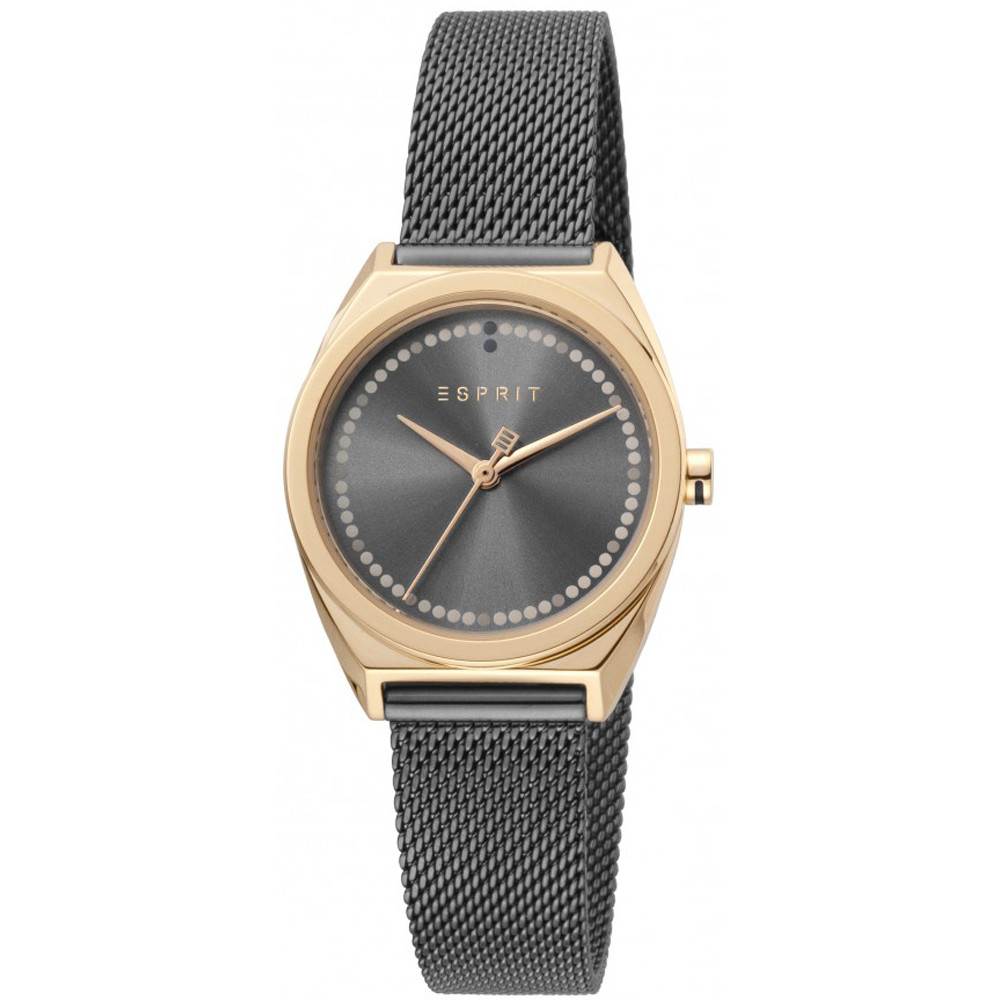 Opis zegarka Esprit ES1L100M0105