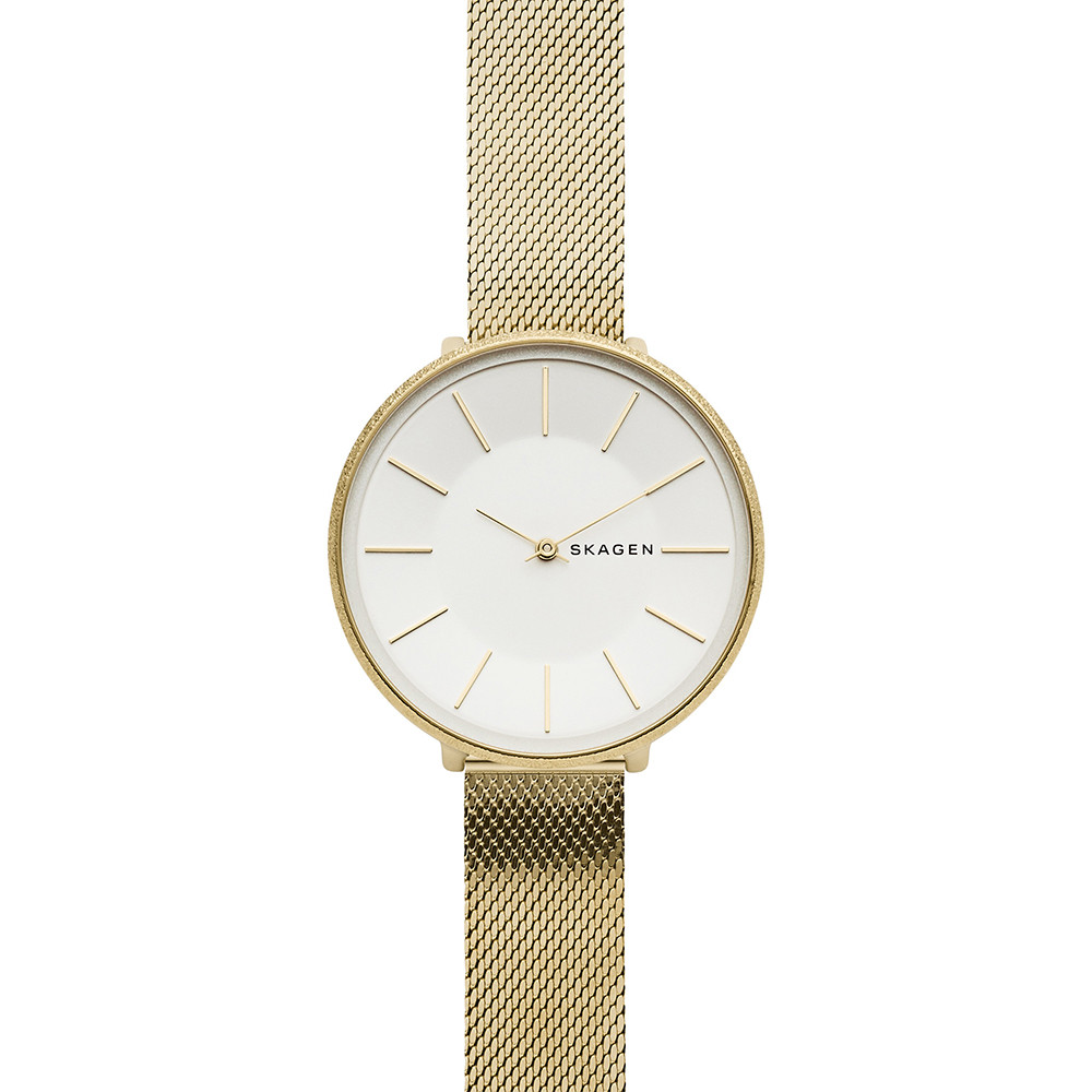 Opis zegarka Skagen SKW2722