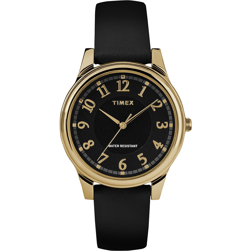 Opis zegarka Timex TW2R87100