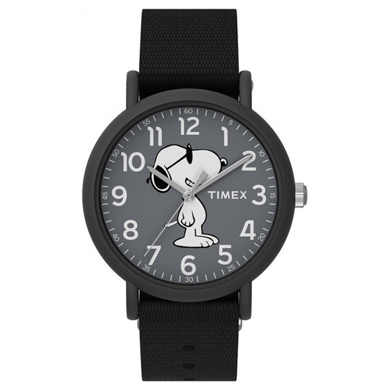 Opis zegarka Timex TW2T65700