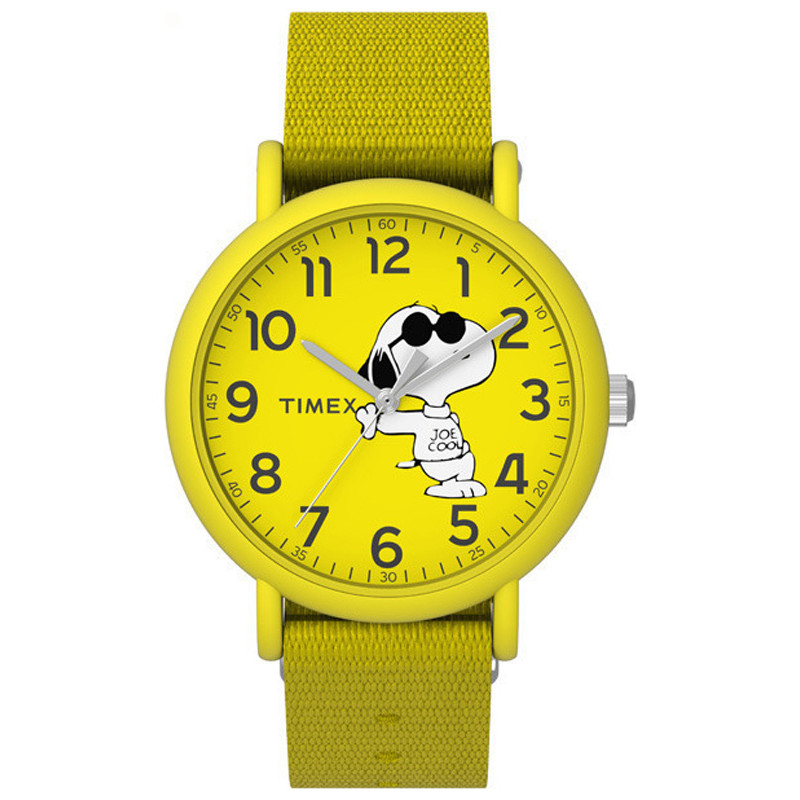 Opis zegarka Timex TW2T65900 Weekender Seasonal